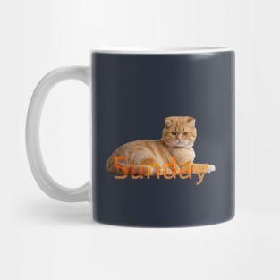 Sunday cat!. Don´t bother me please. Mug